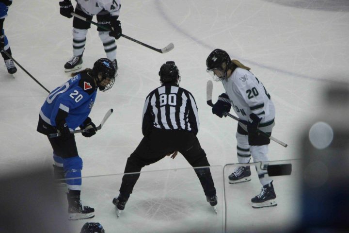 Refcam (4)